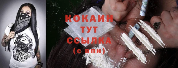 spice Алексин