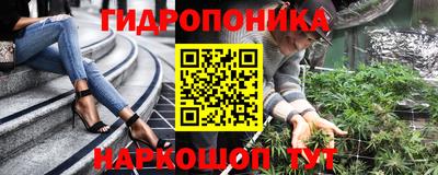 трава Гатчина