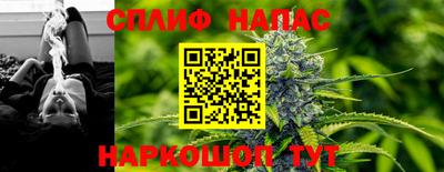 трава Гатчина