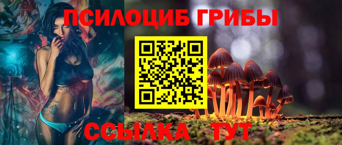 Псилоцибиновые грибы Psilocybe  Галлюциногенные грибы ЛСД  Тосно  Вход с VPN 
